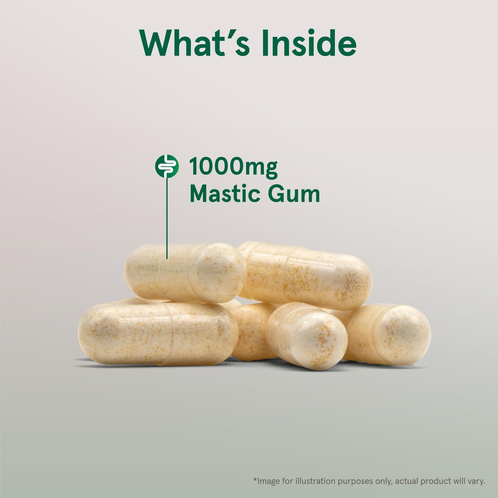 jarrow-mastic-gum-1000mg-doctor-s-best-p-4.jpg