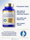 carlyle-glucosamine-chondroitin-msm-250--3.jpg