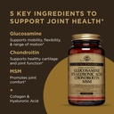 solgar-glucosamine-hyaluronic-acid-chond-3.jpg
