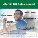 nature-made-maximum-strength-vitamin-b12-3.jpg