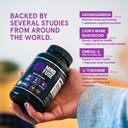 nootropic-memory-booster-supplement-for--3.jpg