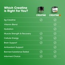 optimum-nutrition-micronized-creatine-mo-4.jpg