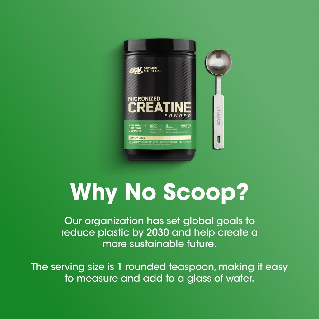optimum-nutrition-micronized-creatine-mo-6.jpg