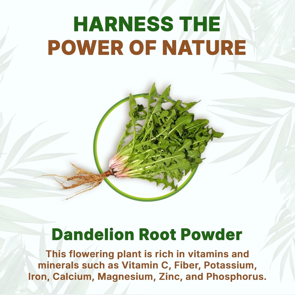 go-nutra-dandelion-root-powder-for-tea-c-5.jpg