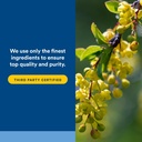 natural-factors-wellbetx-berberine-daily-4.jpg