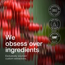 toniiq-ultra-high-strength-berberine-hcl-6.jpg