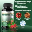 berberine-supplement-1500mg-liposomal-be-2.jpg