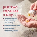 nativepath-native-berberine-hcl-3-in-1-c-6.jpg