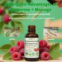 2-pack-liposomal-berberine-supplement-15-2.jpg