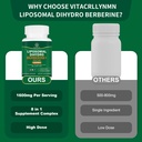 dihydroberberine-supplement-1600mg-super-4.jpg