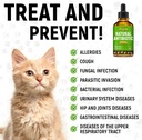 antibiotics-for-dogs-antibiotics-for-cat-6.jpg