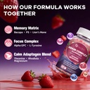 migcopat-magnesium-complex-brain-gummies-5.jpg