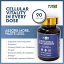 hazel-s-choice-liposomal-glutathione-500-4.jpg