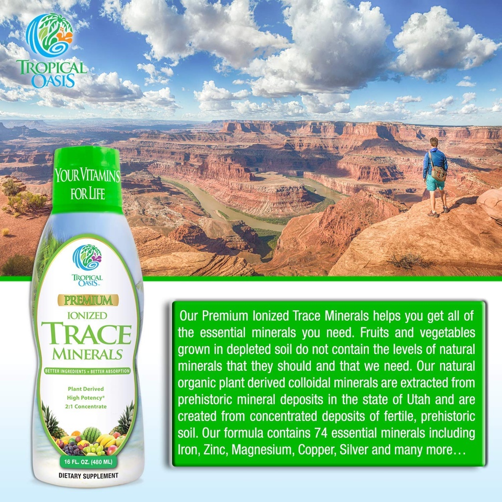 tropical-oasis-premium-ionized-plant-bas-4.jpg