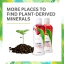 youngevity-plant-derived-liquid-minerals-5.jpg