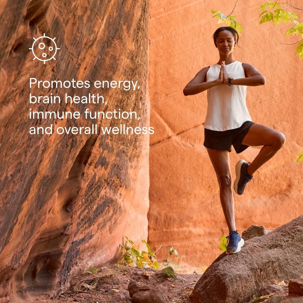 trace-minerals-shilajit-capsules-shilaji-3.jpg