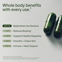 seed-ds-01-daily-synbiotic-for-adults-pd-3.jpg