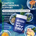 sea-moss-black-seed-oil-ashwagandha-shil-4.jpg