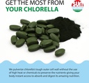 sun-chlorella-a-tablets---500-mg---600-t-5.jpg