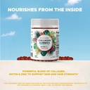 vitamatic-hydrolyzed-collagen-gummies-wi-6.jpg