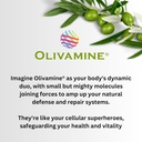 olivamine-multivitamin-for-total-balance-3.jpg