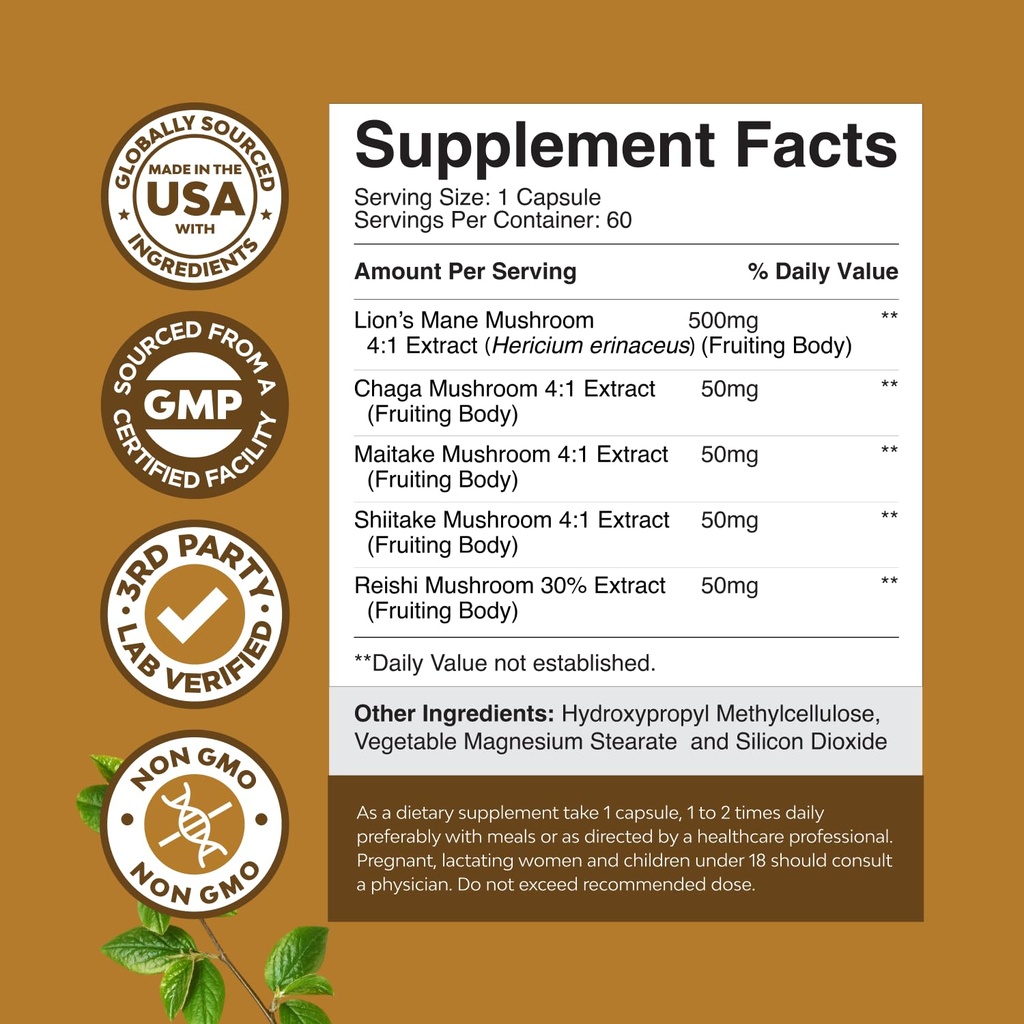 bundle-of-nootropic-brain-supplement-for-3.jpg