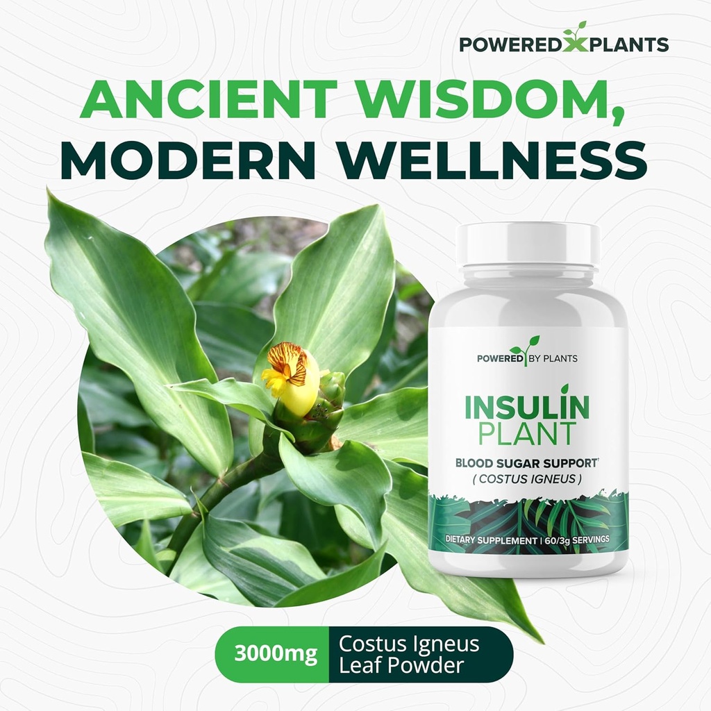 insulin-plant-capsules---3000mg-costus-i-4.jpg