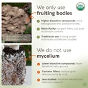 organic-maitake-mushroom-powder-suppleme-3.jpg