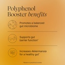 pendulum-polyphenol-booster-antioxidant--3.jpg