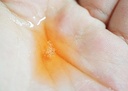 secret-of-red-astaxanthin-concentrate-es-3.jpg