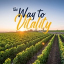 vitalitown-vitamin-d3-k2-supplement-vita-6.jpg