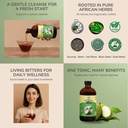 soursop-bitters-liquid-organic-gi-suppor-6.jpg