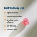 nordic-naturals-vitamin-d3-gummies-wild--4.jpg