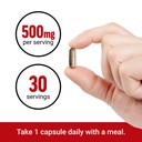 force-factor-longjack-tongkat-ali-500mg--5.jpg