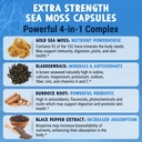 maju-4-in-1-organic-sea-moss-capsules-wi-2.jpg