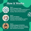 colonbroom-15-day-glp-1-colon-cleanse-de-5.jpg