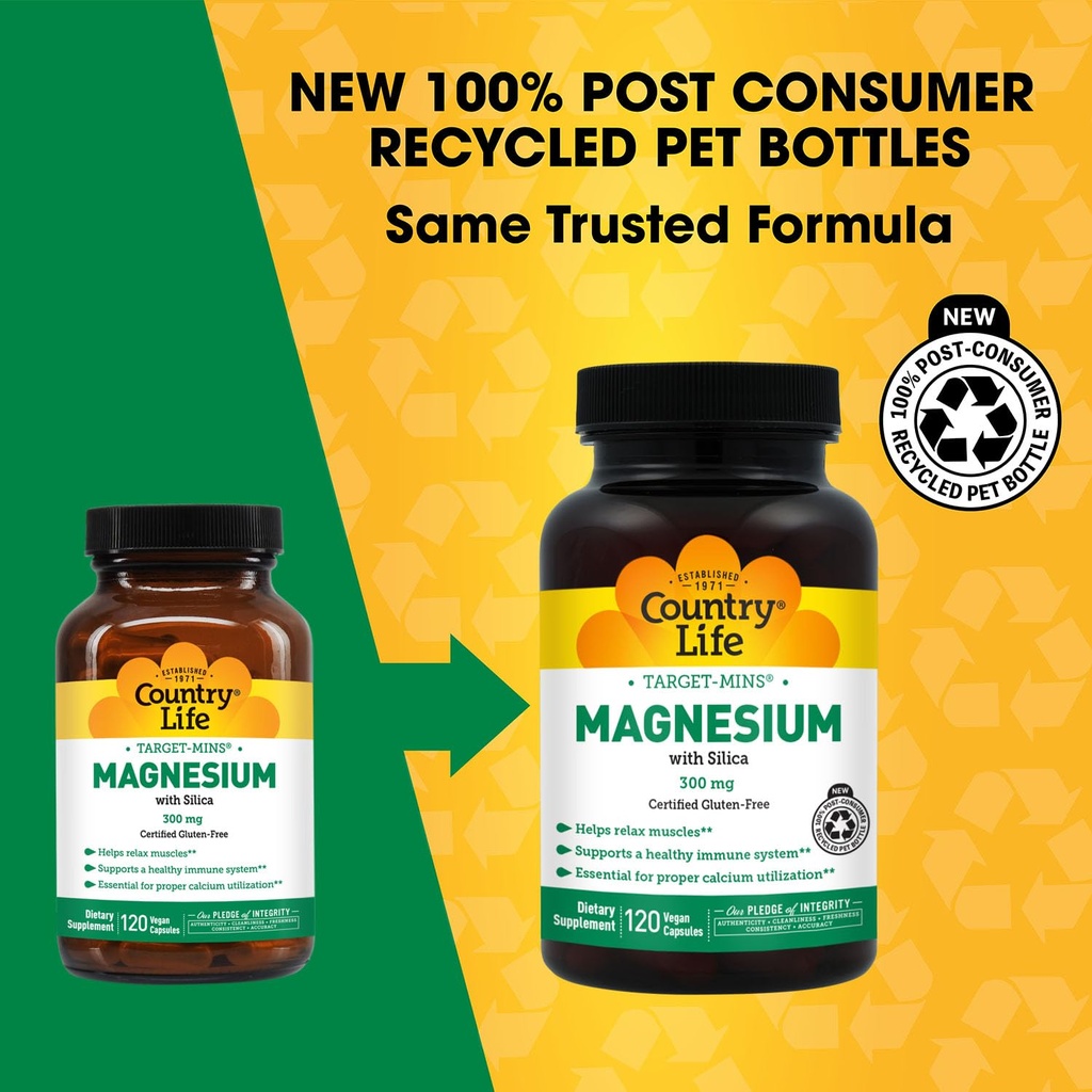 target-mins-magnesium-with-silica-300-mg-2.jpg