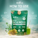 kiki-green-irish-sea-moss-powder-8-oz-wi-6.jpg
