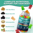 sea-moss-gummies-irish-sea-moss-gummies--4.jpg