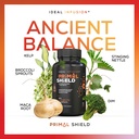 estrogen-blocker-and-hormone-balance-for-3.jpg
