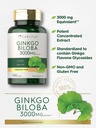 carlyle-ginkgo-biloba-400-tablets-non-gm-4.jpg