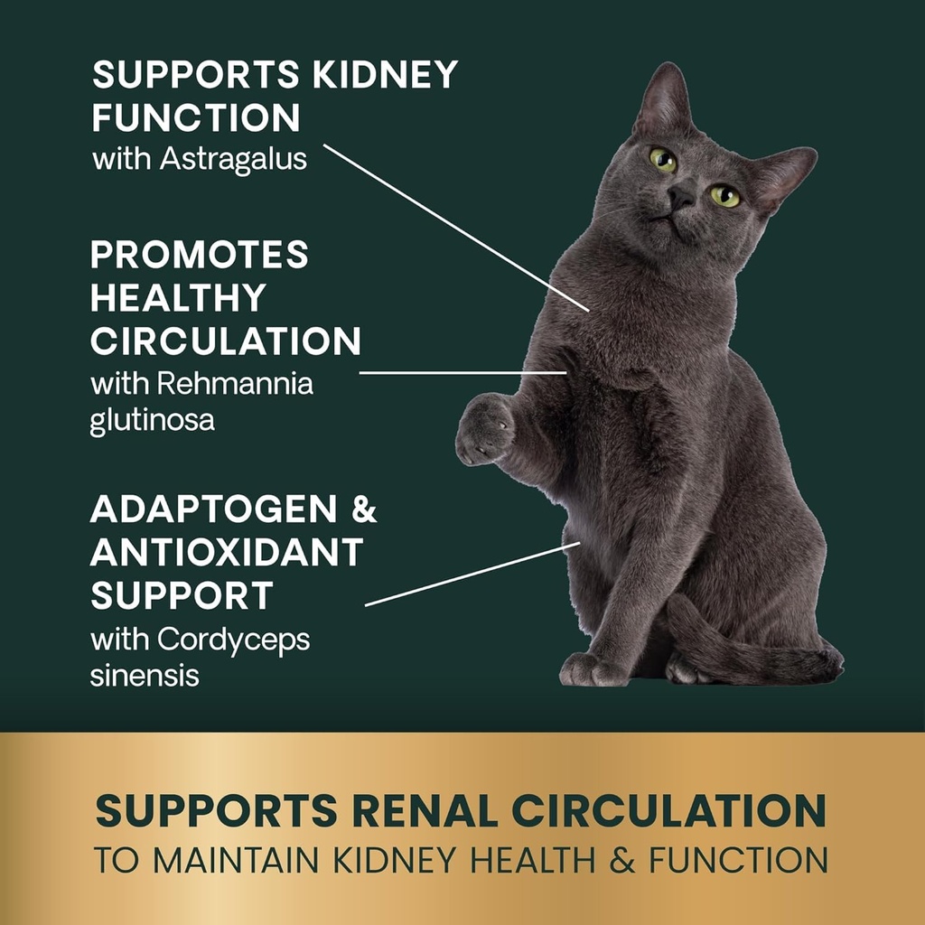 vetriscience-kidney-health-chewable-tabl-4.jpg