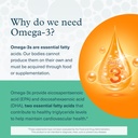 youtheory-ocean-friendly-omega-algae-ome-4.jpg
