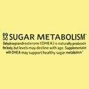 spring-valley-dhea-tablets-50-mg-50-coun-4.jpg