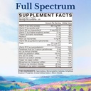 vitalitown-multivitamin-for-women-men-wi-2.jpg