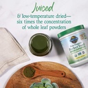 garden-of-life-raw-organic-perfect-food--5.jpg