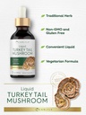 carlyle-turkey-tail-mushroom-extract-liq-4.jpg