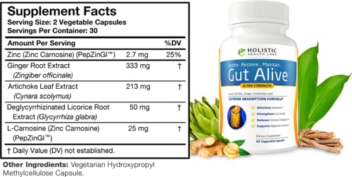 holistic-health-labs-gut-alive-all-natur-2.jpg