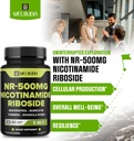 5in1-nicotinamide-riboside-supplement-wi-3.jpg