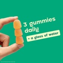 dulcolax-daily-gut-support-gummies-magne-3.jpg